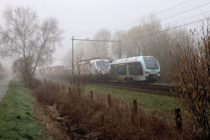 TXL goederentrein gestrand in Zevenaar 